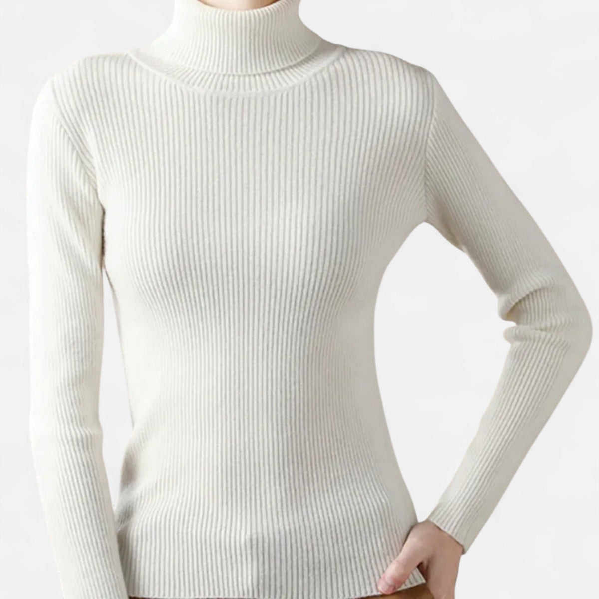 Ava | Slim Ribbed Roll Neck Jumper